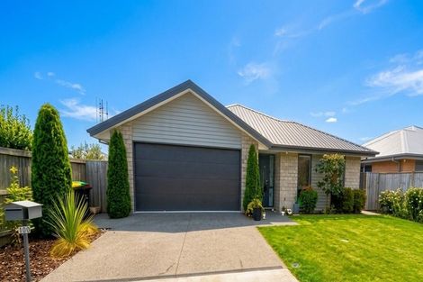 Photo of property in 100 Chinnerys Road, Woodend, 7610
