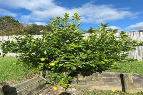 Photo of property in 12 Neaptide Close, Red Beach, 0932