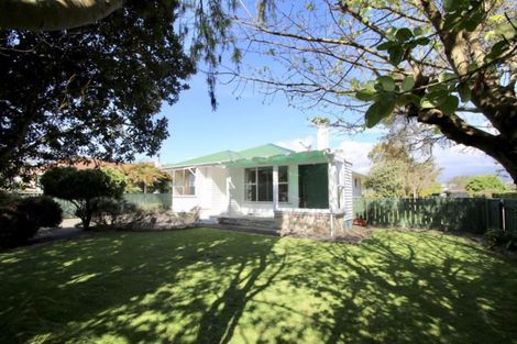 Photo of property in 156 Tiro Tiro Road, Levin, 5510