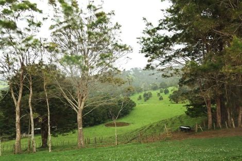 Photo of property in 37 Donnellys Station Road, Donnellys Crossing, Dargaville, 0379