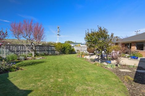 Photo of property in 8 Landau Place, Redwoodtown, Blenheim, 7201
