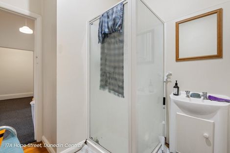 Photo of property in 17 Hope Street, Dunedin Central, Dunedin, 9016