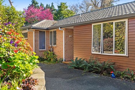 Photo of property in 11/17 Simmonds Grove, Greerton, Tauranga, 3112