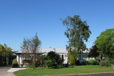 Photo of property in 49 Neal Street, Putaruru, 3411