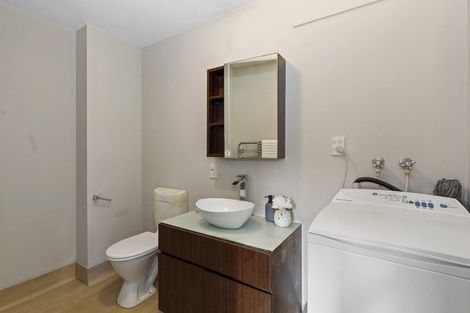 Photo of property in Palm Grove Apartments, 11/13d Palm Grove, Berhampore, Wellington, 6023