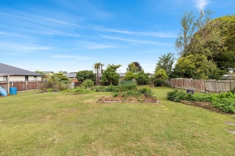 Photo of property in 24/26 Mackenzie Street, Putaruru, 3411