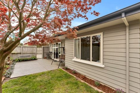 Photo of property in 17a Sumner Street, Spreydon, Christchurch, 8024