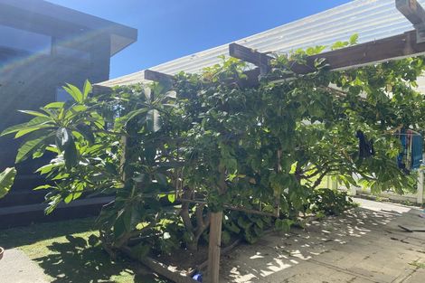 Photo of property in 17 Rogers Road, Bay View, Napier, 4104