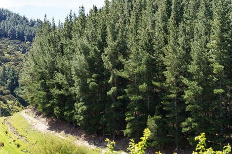 Photo of property in 292 Waipori Falls Road, Berwick, Outram, 9073