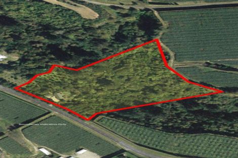 Photo of property in 554 Rangiuru Road, Rangiuru, Te Puke, 3188