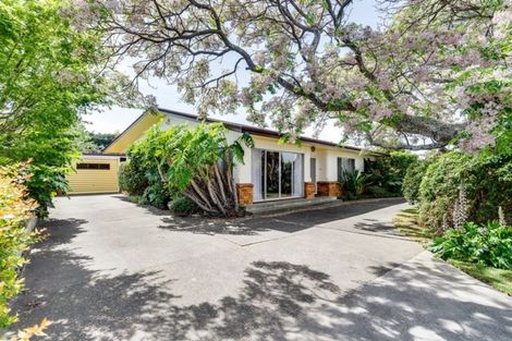 Photo of property in 37 Balliol Avenue, Pirimai, Napier, 4112