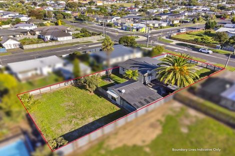 Photo of property in 120 Queen Street West, Levin, 5510