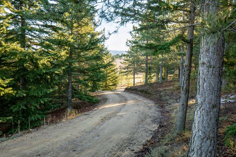 Photo of property in 336 Letts Gully Road, Letts Gully, Alexandra, 9393