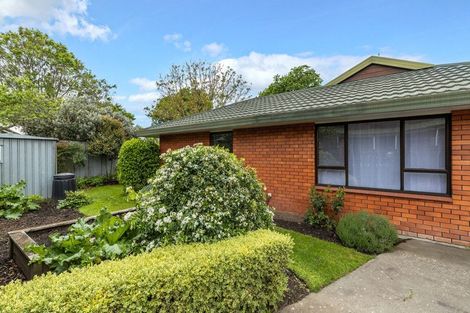 Photo of property in 28b Weld Street, Blenheim, 7201