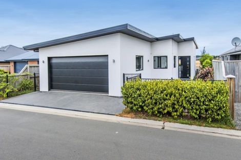 Photo of property in 125 Infinity Drive, Pegasus, 7612