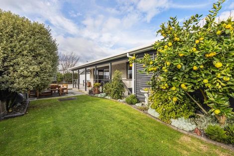 Photo of property in 53 Tawari Street, Matamata, 3400