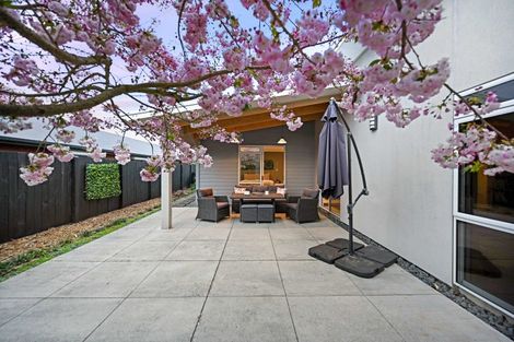 Photo of property in 21 Norfolk Drive, Cambridge, 3434