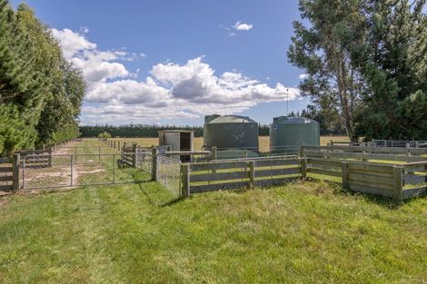 Photo of property in 164 Smiths Road, Leithfield, Amberley, 7481