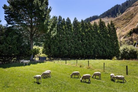 Photo of property in 188 Mount Riley Road, Okaramio, Havelock, 7178