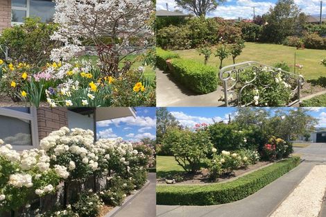 Photo of property in 41 Broadway Avenue, Highfield, Timaru, 7910