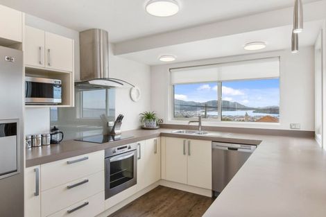 Photo of property in 61b Earls Road, Saint Clair, Dunedin, 9012