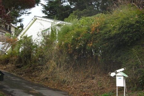 Photo of property in 17 Jane Street, Macandrew Bay, Dunedin, 9014