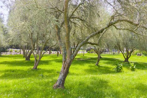 Photo of property in 5 Petersen Place, Waipukurau, 4200