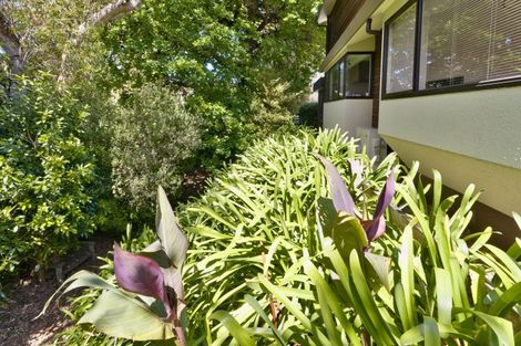 Photo of property in 24 Hunters Hill, Havelock North, 4130