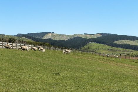 Photo of property in 32 Hull Road, Te Kohanga, 2693