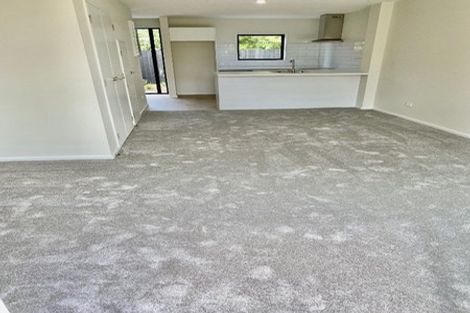 Photo of property in 2/18 Cross Street, Phillipstown, Christchurch, 8011