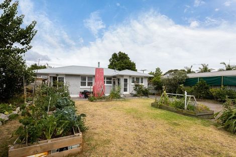 Photo of property in 553 Maunganui Road, Mount Maunganui, 3116