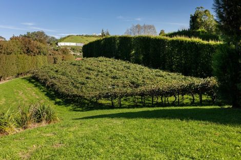 Photo of property in 394 Old Highway, Whakamarama, 3180