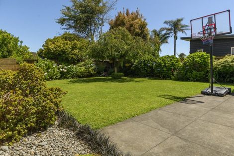 Photo of property in 24 Hansard Place, Bethlehem, Tauranga, 3110