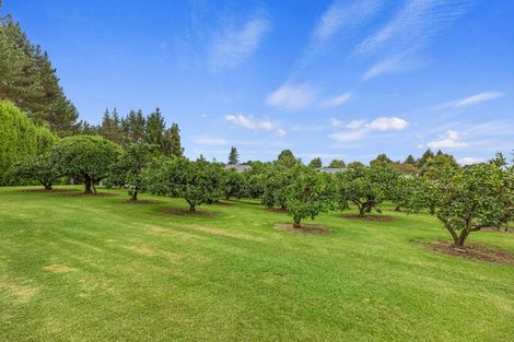 Photo of property in 520 Cambridge Road, Tauriko, Tauranga, 3110