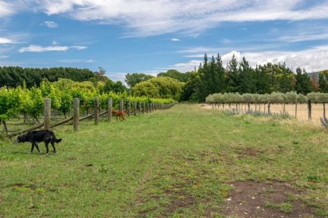 Photo of property in 162 Neal Road, Spring Creek, Blenheim, 7273