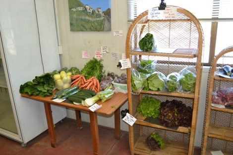 Photo of property in 80 Waikoruru Road, Tuahiwi, Kaiapoi, 7691