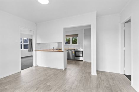 Photo of property in 44 Southsea Crescent, Silverdale, Hamilton, 3216