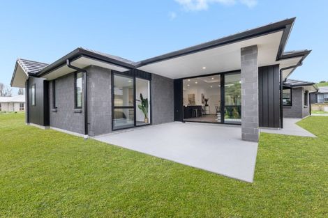 Photo of property in 163 Adler Drive, Ohauiti, Tauranga, 3112