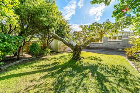 Photo of property in 60a Epuni Street, Hutt Central, Lower Hutt, 5011