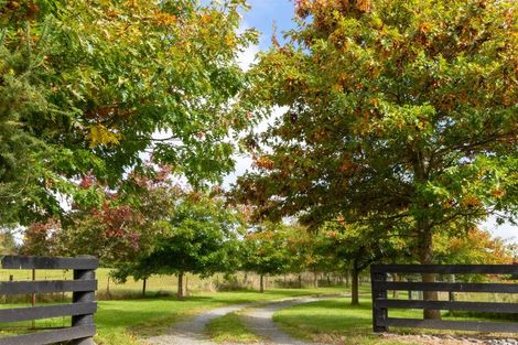 Photo of property in 251 Summerhill Road, Cust, Rangiora, 7471