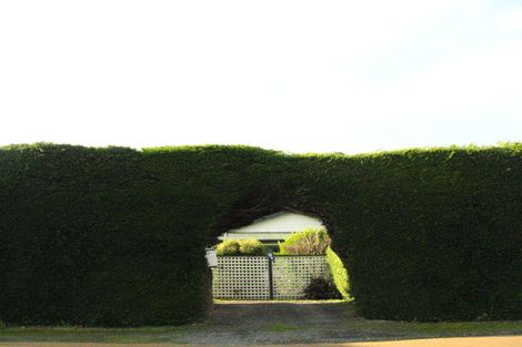 Photo of property in 1410 Coast Road, Karitane, Waikouaiti, 9471