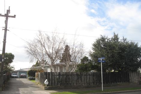 Photo of property in 14 Mason Avenue, Maraenui, Napier, 4110