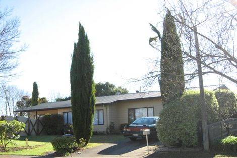 Photo of property in 13 Grant Street, Havelock North, 4130