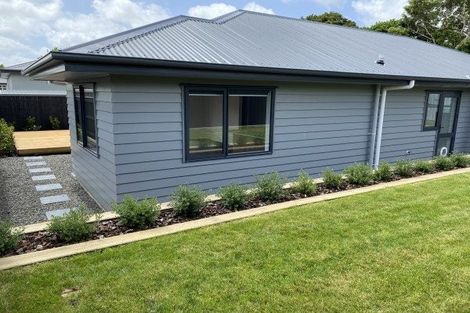 Photo of property in 77a Guy Avenue, Takaro, Palmerston North, 4410