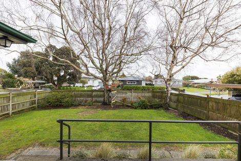 Photo of property in 10 Salisbury Avenue, Terrace End, Palmerston North, 4410