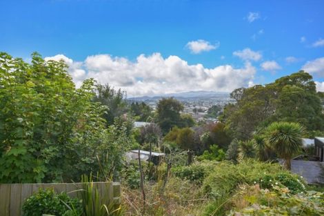 Photo of property in 53 Morrison Street, Caversham, Dunedin, 9012