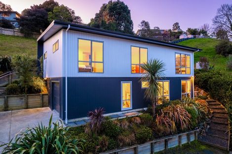 Photo of property in 118 Washington Road, Stepneyville, Nelson, 7010