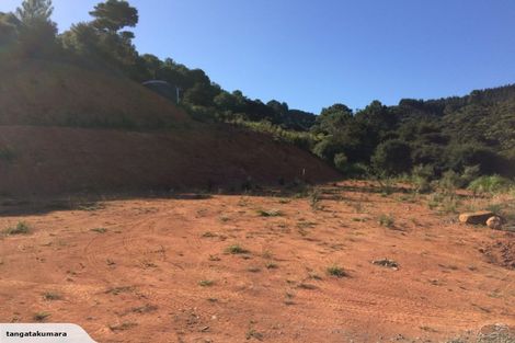 Photo of property in 175g Tapu Coroglen Road, Tapu, Thames, 3575