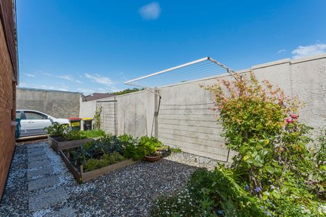 Photo of property in 50c David Street, Caversham, Dunedin, 9012