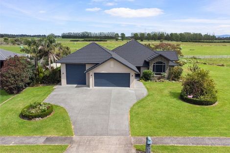 Photo of property in 21 Ridgeview Drive, Te Aroha, 3392